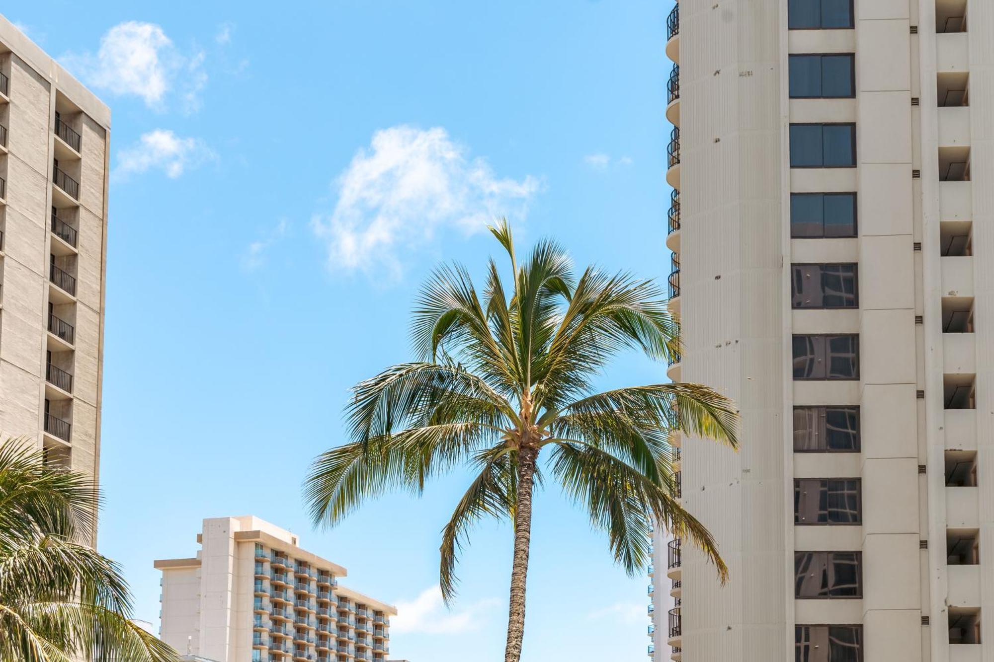 Renovated Ocean View Suite, Near Beach, Free Parking 檀香山 外观 照片