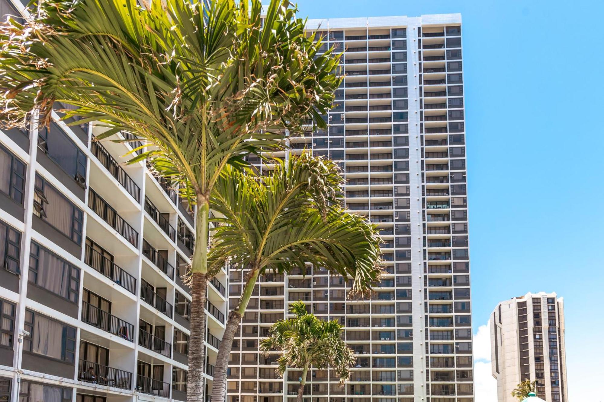 Renovated Ocean View Suite, Near Beach, Free Parking 檀香山 外观 照片